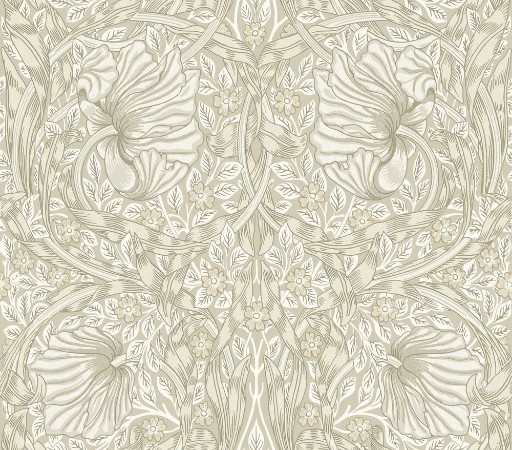 Picture of Pimpernel Flax - MOX0132-02